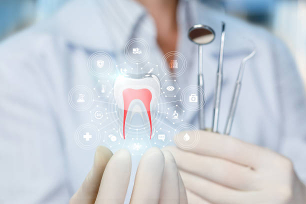 Best Sedation Dentistry  in Muscle Shos, AL